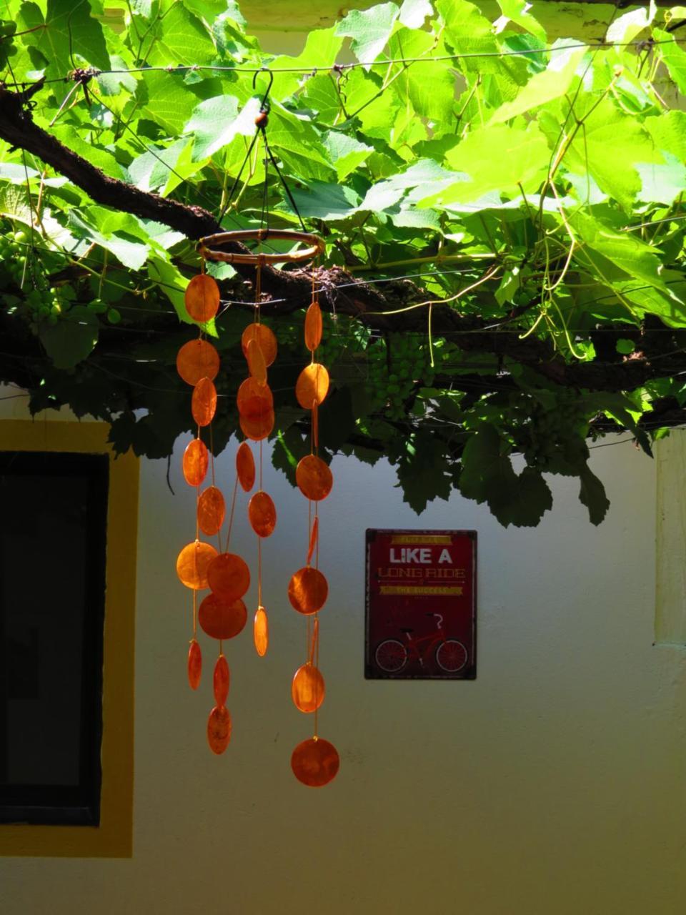 Chicamocha Hostel Сан-Хиль Экстерьер фото